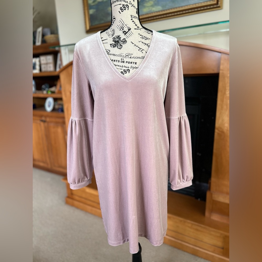Madewell Velvet Dress